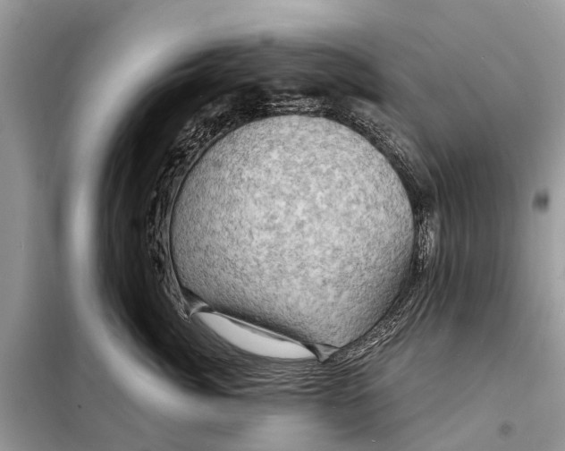 X0000098200764200805081111