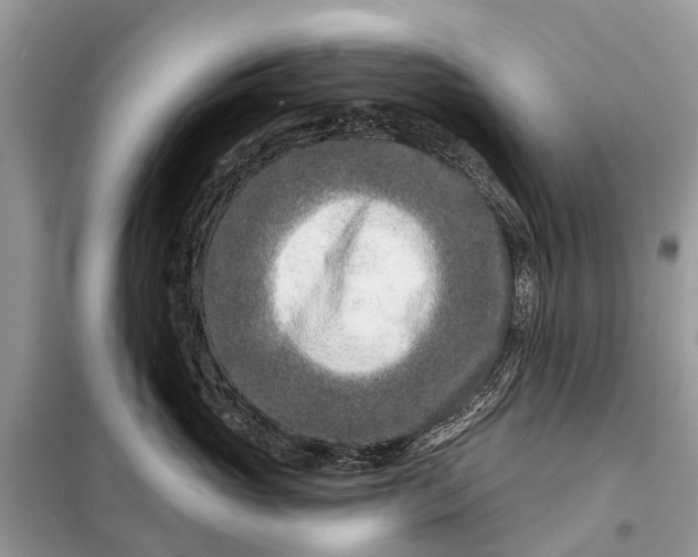 X0000098200765200805081111