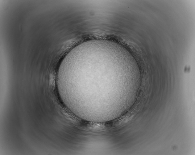 X0000098200768200805081111