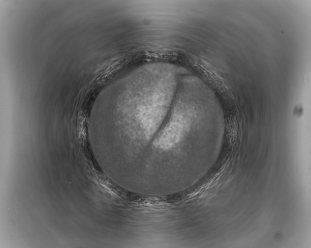 X0000098200770200805081110