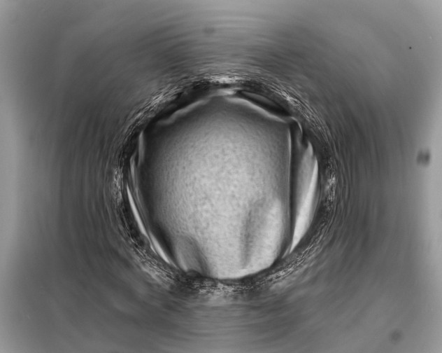 X0000098200772200805081110