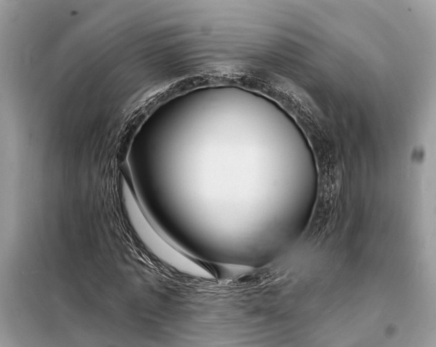 X0000098200773200805081110