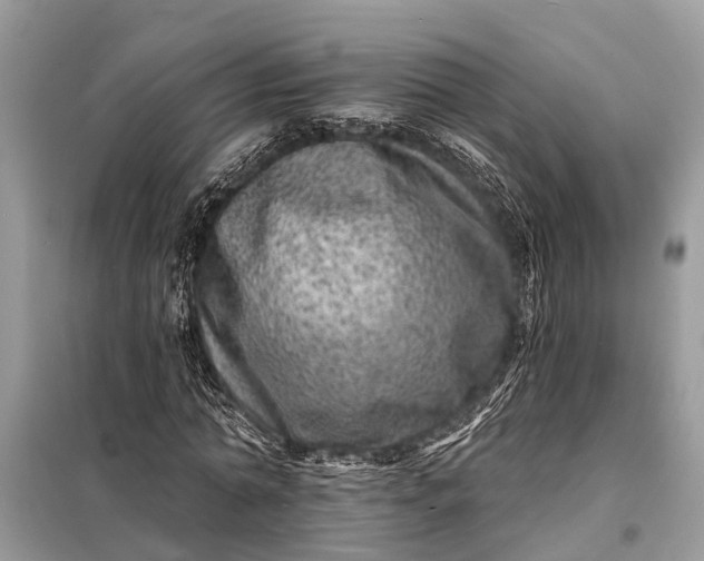 X0000098200774200805081110