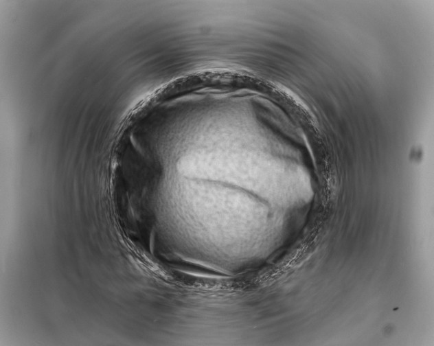 X0000098200775200805081110