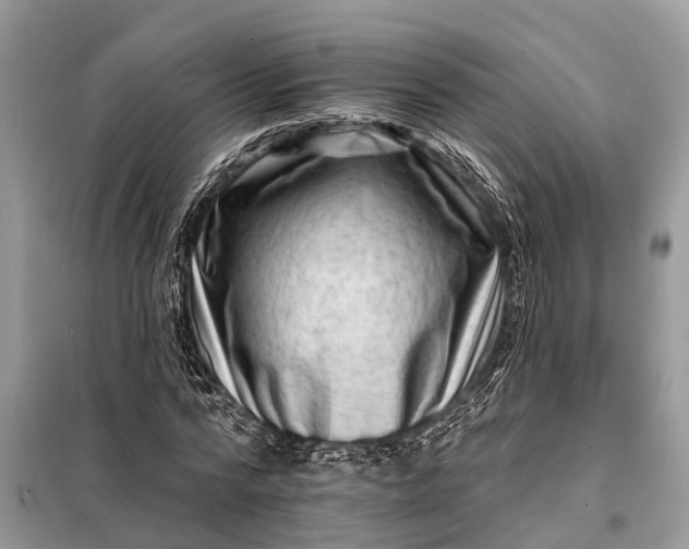 X0000098200776200805081110