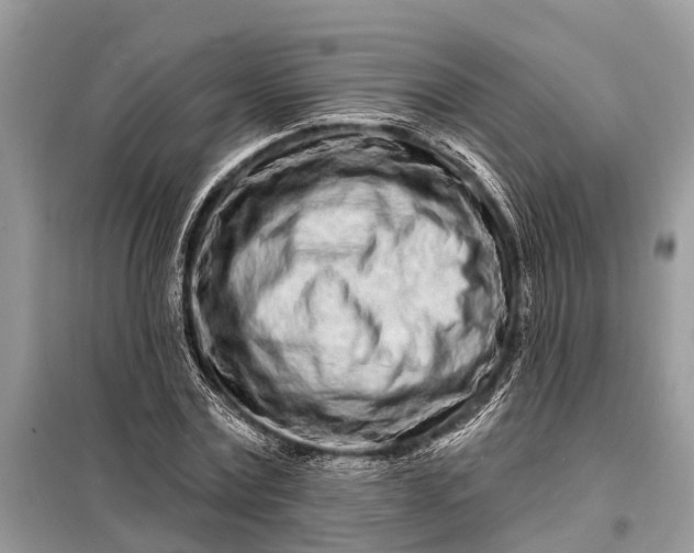 X0000098200779200805081110