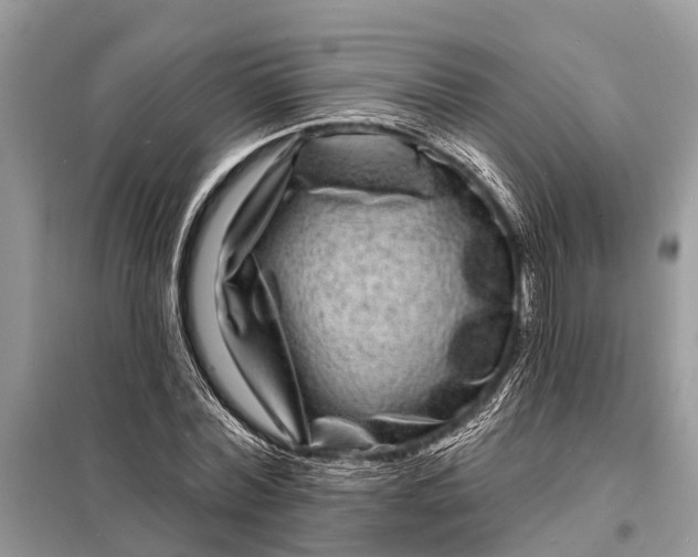 X0000098200780200805081110