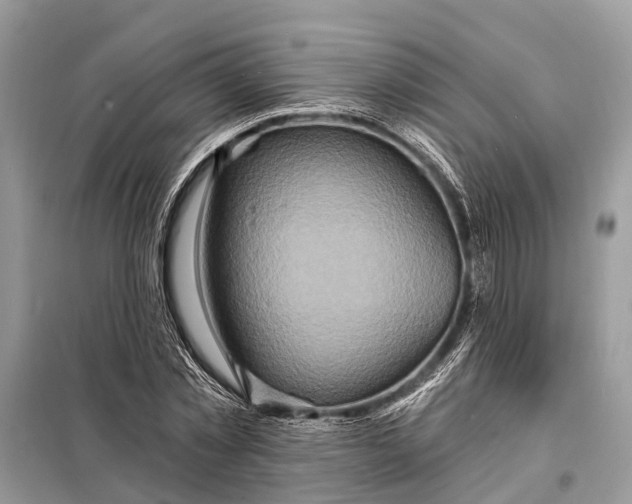 X0000098200781200805081110
