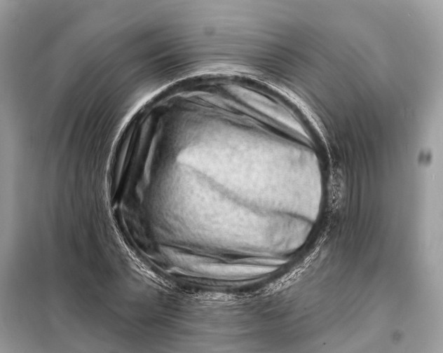 X0000098200783200805081110
