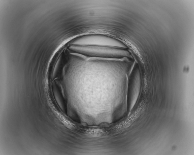 X0000098200784200805081110