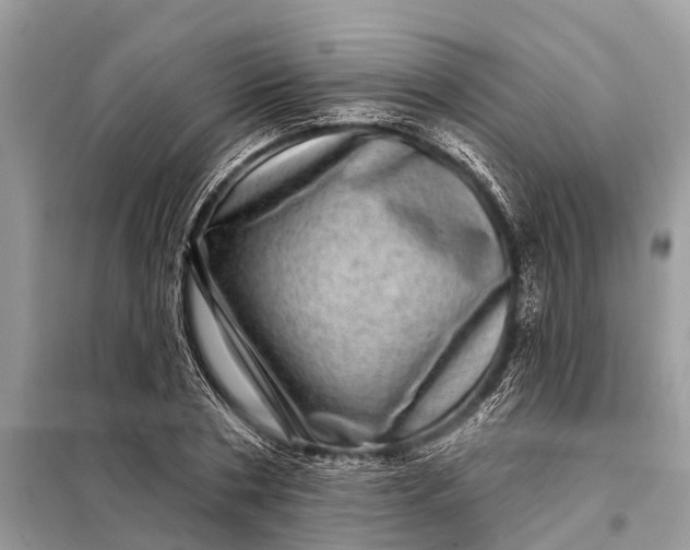 X0000098200786200805081110