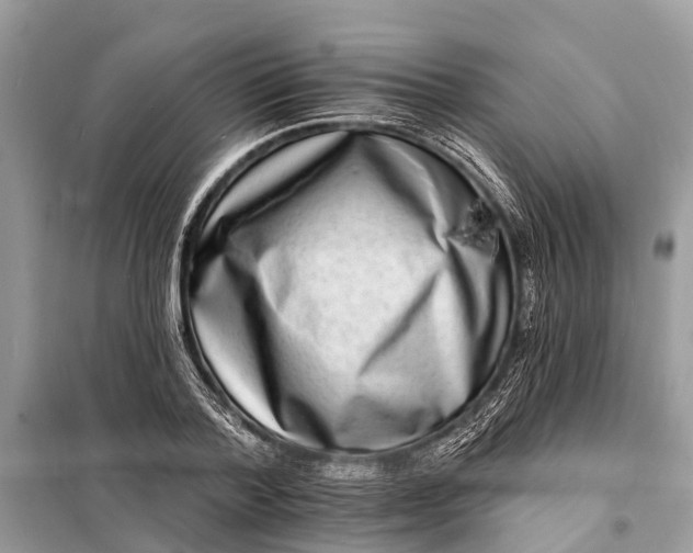 X0000098200788200805081110