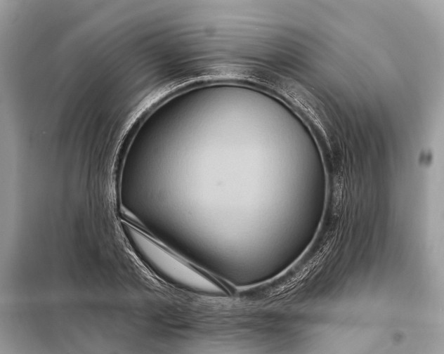 X0000098200789200805081110