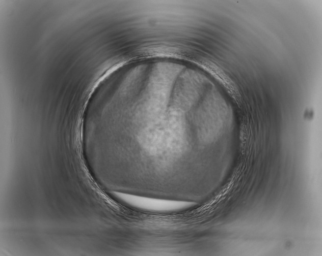 X0000098200790200805081110