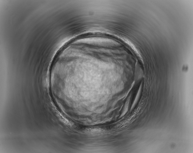X0000098200791200805081110