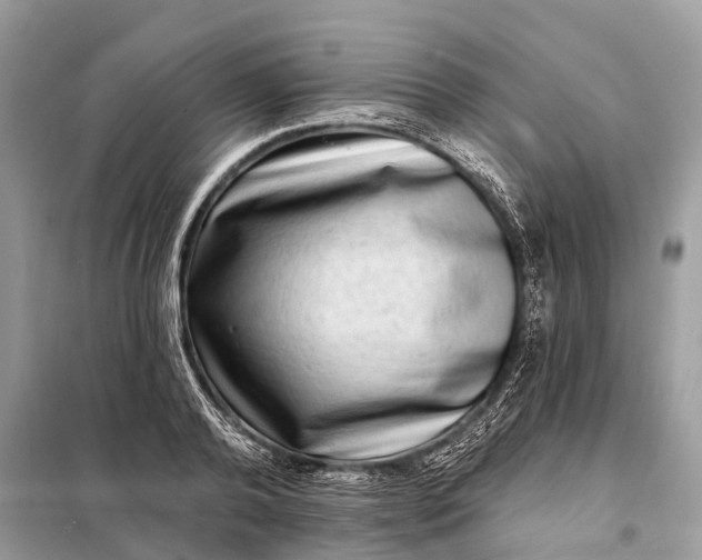 X0000098200792200805081110