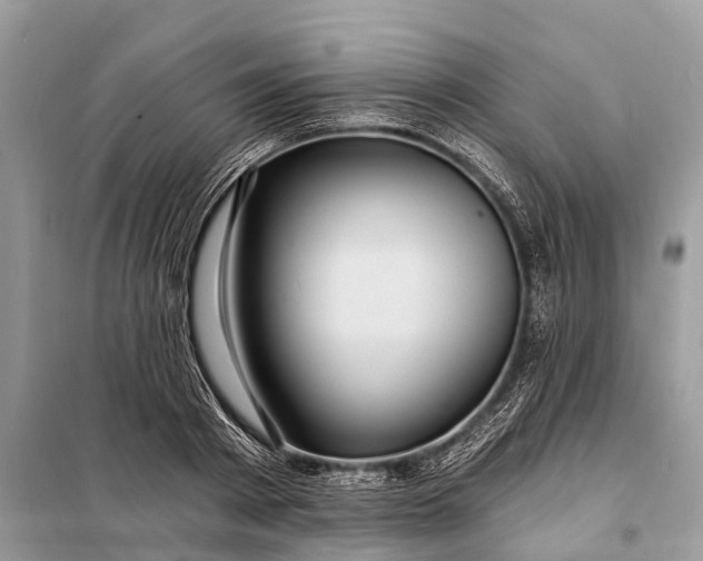 X0000098200793200805081110