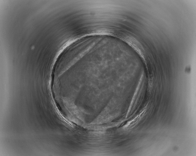 X0000098200797200805081110