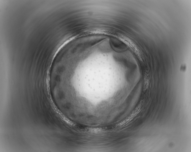 X0000098200798200805081110
