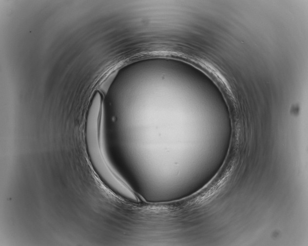 X0000098200801200805081110