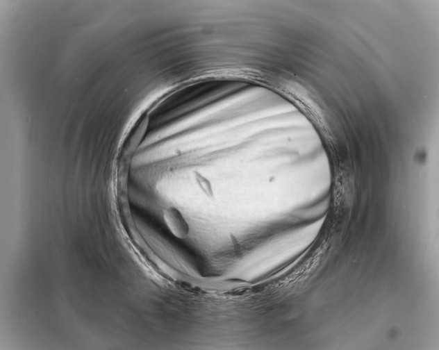 X0000098200804200805081110