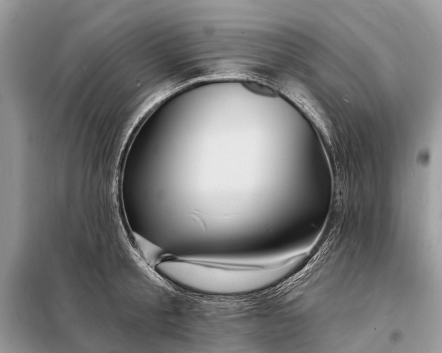 X0000098200805200805081110