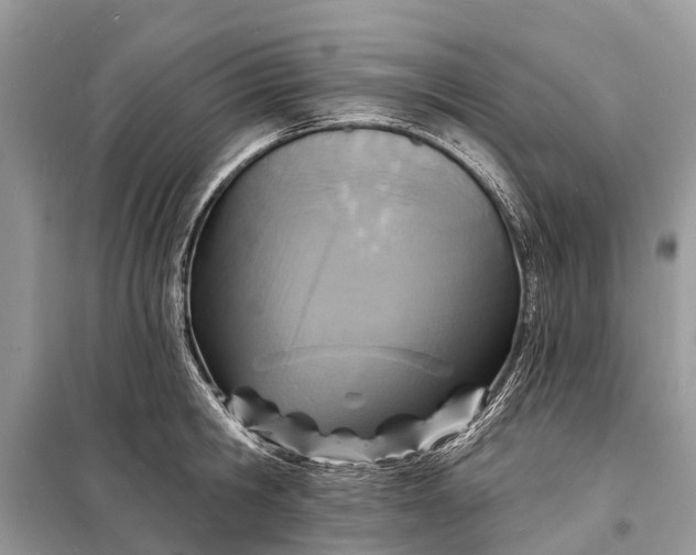 X0000098200806200805081110
