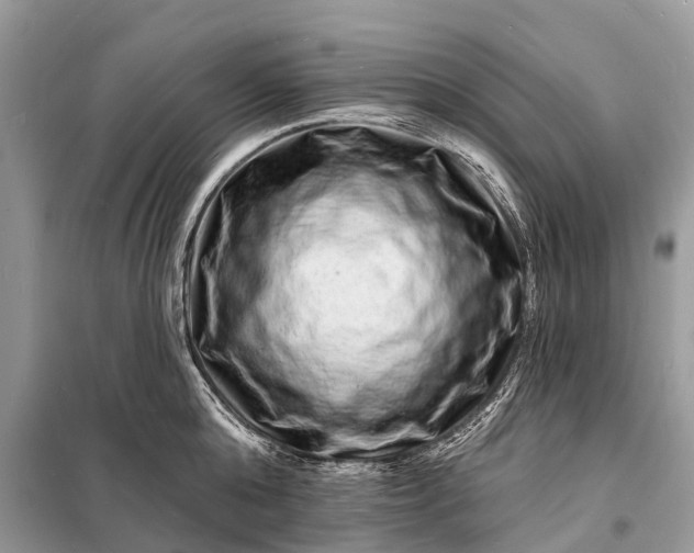 X0000098200808200805081110