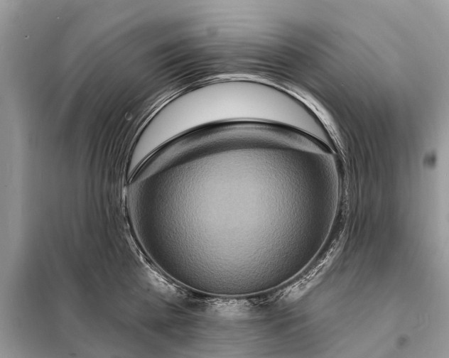 X0000098200809200805081110