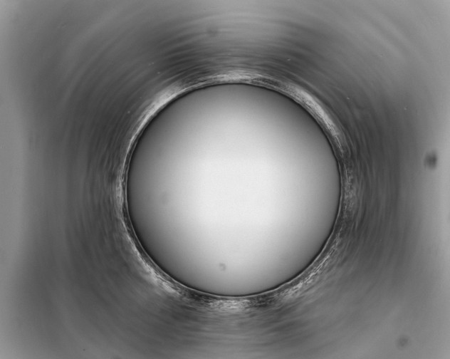 X0000098200810200805081110