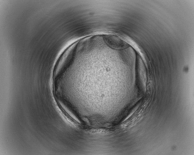 X0000098200811200805081110