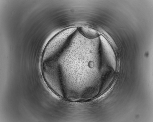 X0000098200812200805081110