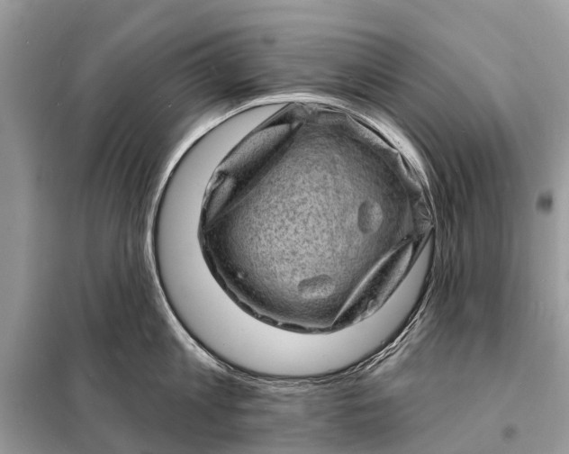 X0000098200813200805081110