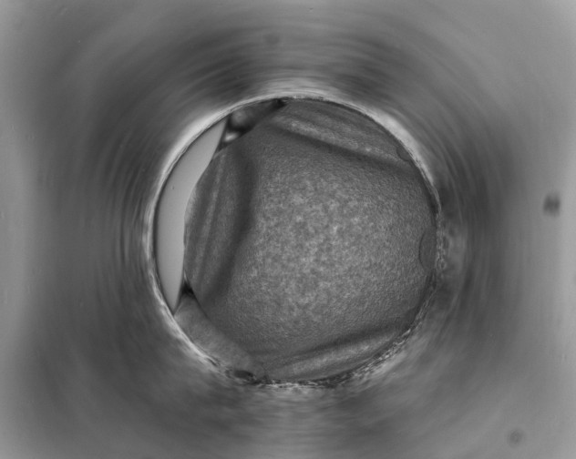X0000098200815200805081110