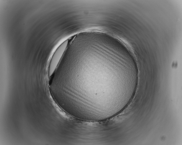 X0000098200816200805081110