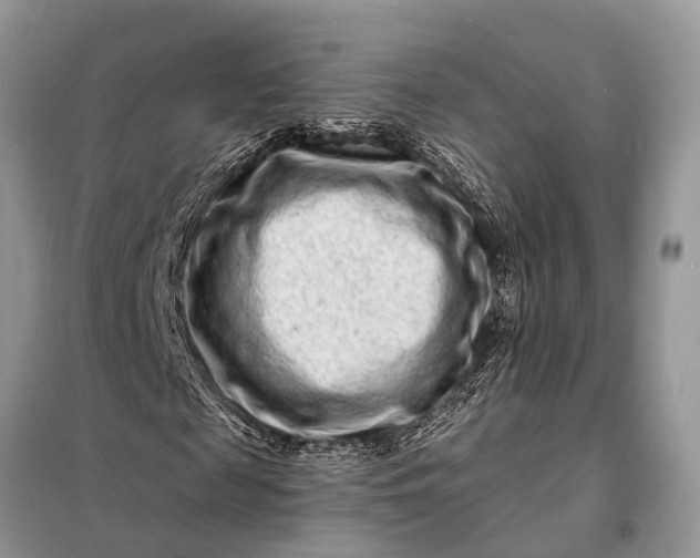 X0000098200817200805081109