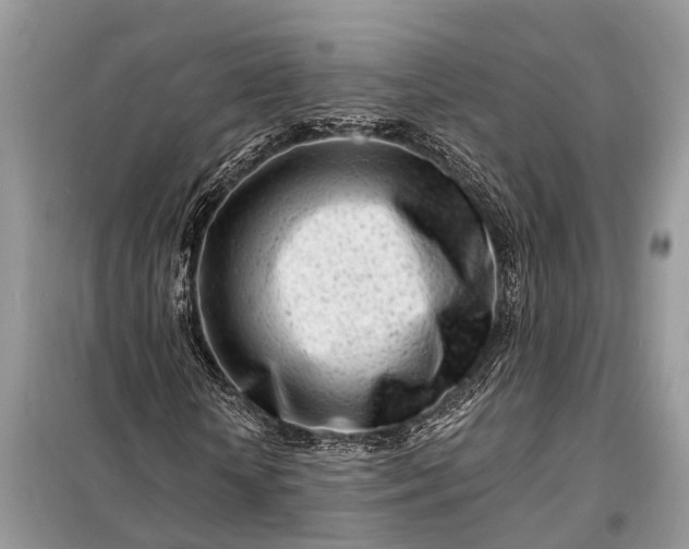X0000098200818200805081109