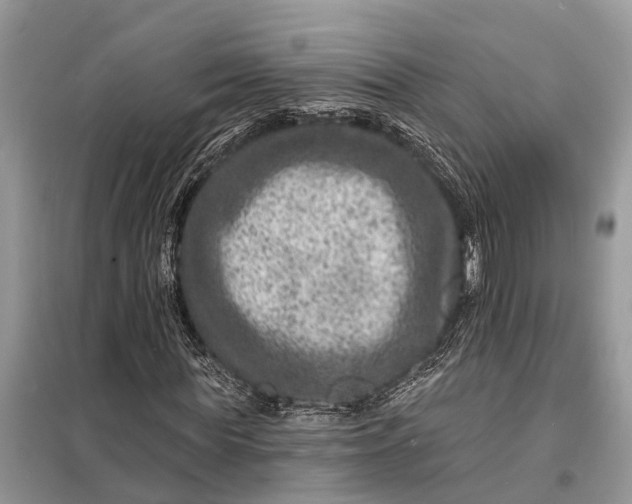 X0000098200819200805081109