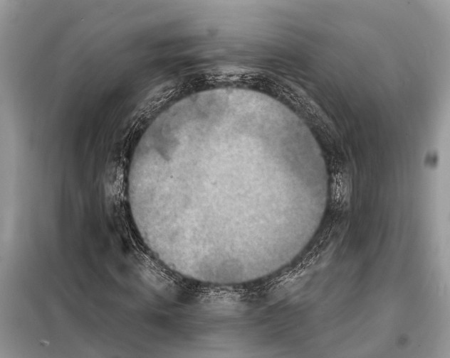 X0000098200820200805081109