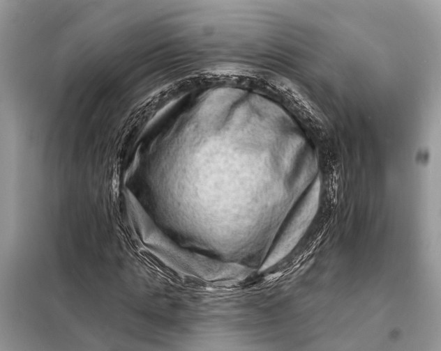 X0000098200821200805081109