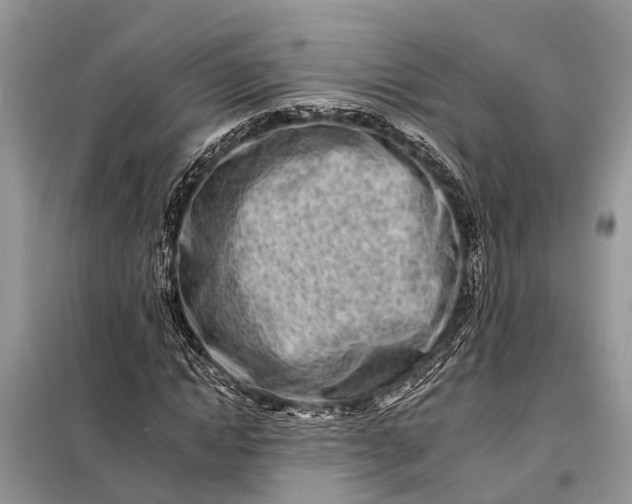 X0000098200822200805081109