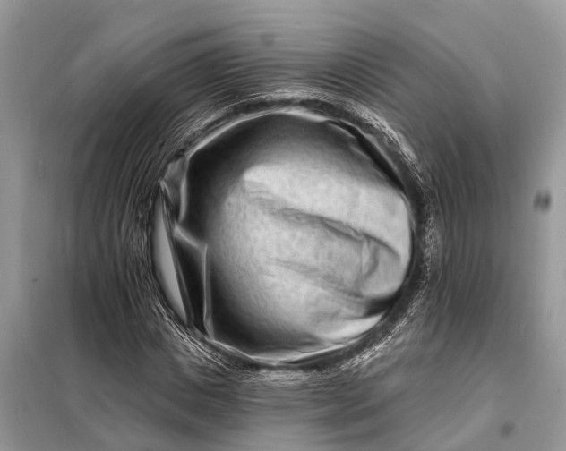 X0000098200825200805081109