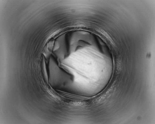 X0000098200826200805081109