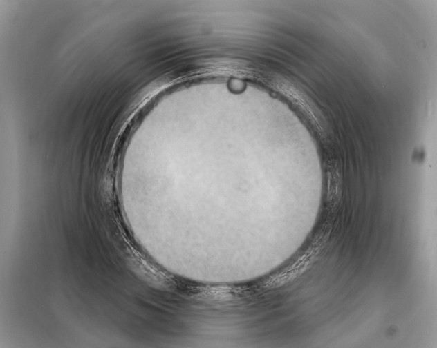 X0000098200828200805081109