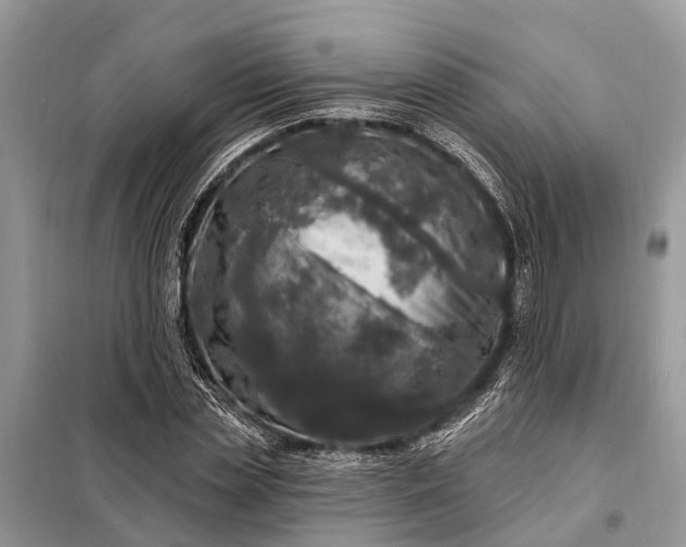 X0000098200829200805081109
