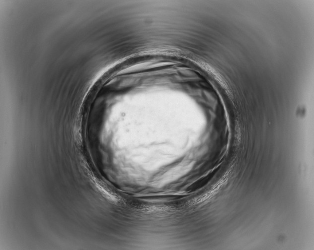 X0000098200830200805081109
