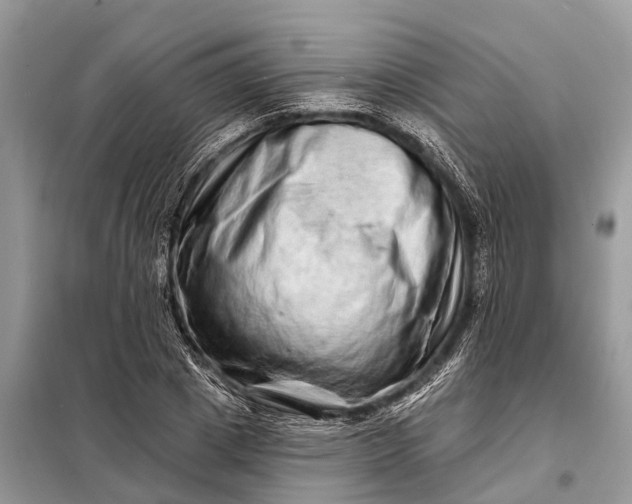 X0000098200833200805081109