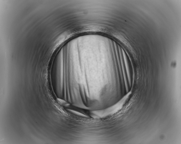 X0000098200834200805081109