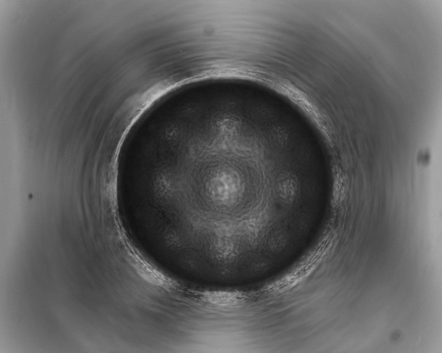 X0000098200836200805081109