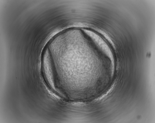 X0000098200837200805081109
